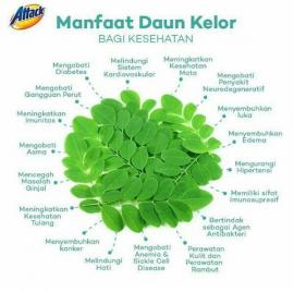 MEMBANGUN KESEHATAN MASYARAKAT DENGAN DAUN KELOR