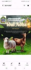 PERINGATAN IDUL QURBAN