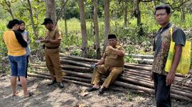 Pemerintah Kalurahan Kelor Bangun Kandang Ayam Petelur, Wujudkan Ketahanan Pangan dari Dana Desa