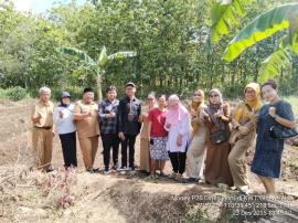 Perwakilan Ditjen Hortikultura Kementerian Pertanian Kunjungi Demplot KWT Glowing Ceria di Dusun Sud