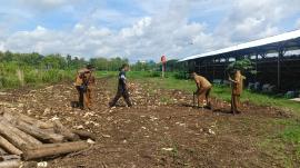 Survey Calon Lumbung Mataraman, Pemkal Kelor Libatkan Lurah hingga Pamong